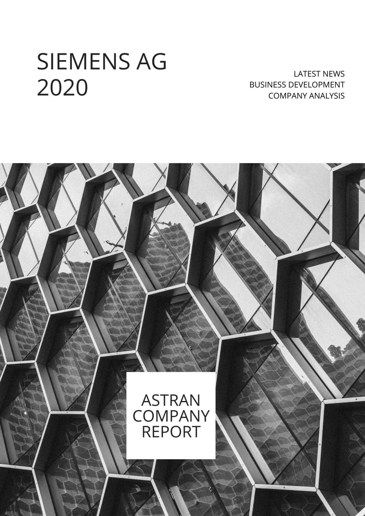 Company Report & Profile Siemens AG 2020